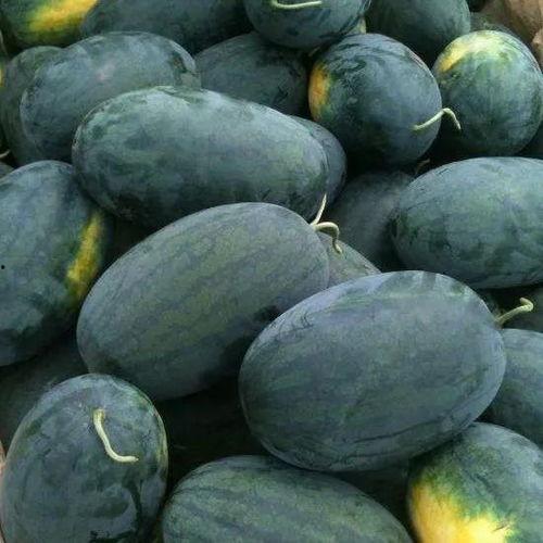 人人吃瓜朝阳黑料,人人吃瓜，朝阳黑料背后的真相