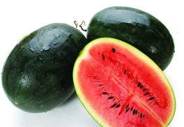 黑吃瓜料网在哪里下载,下载攻略与风险提示